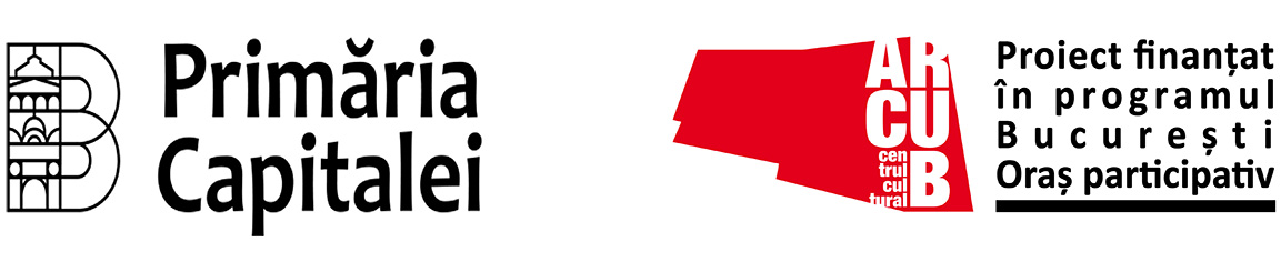 Logo finanțare